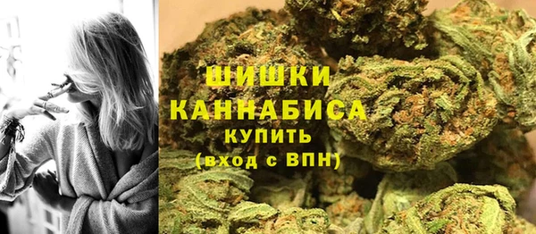 стафф Вяземский