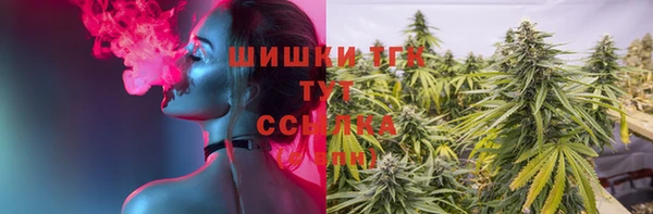 стафф Вяземский