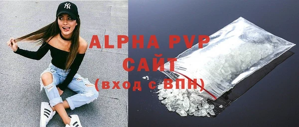 стафф Вяземский